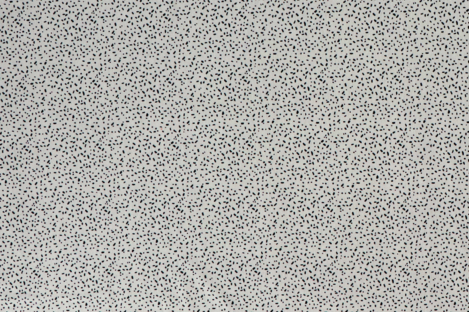 Jersey di cotone, linee e puntini neri su fondo grigio