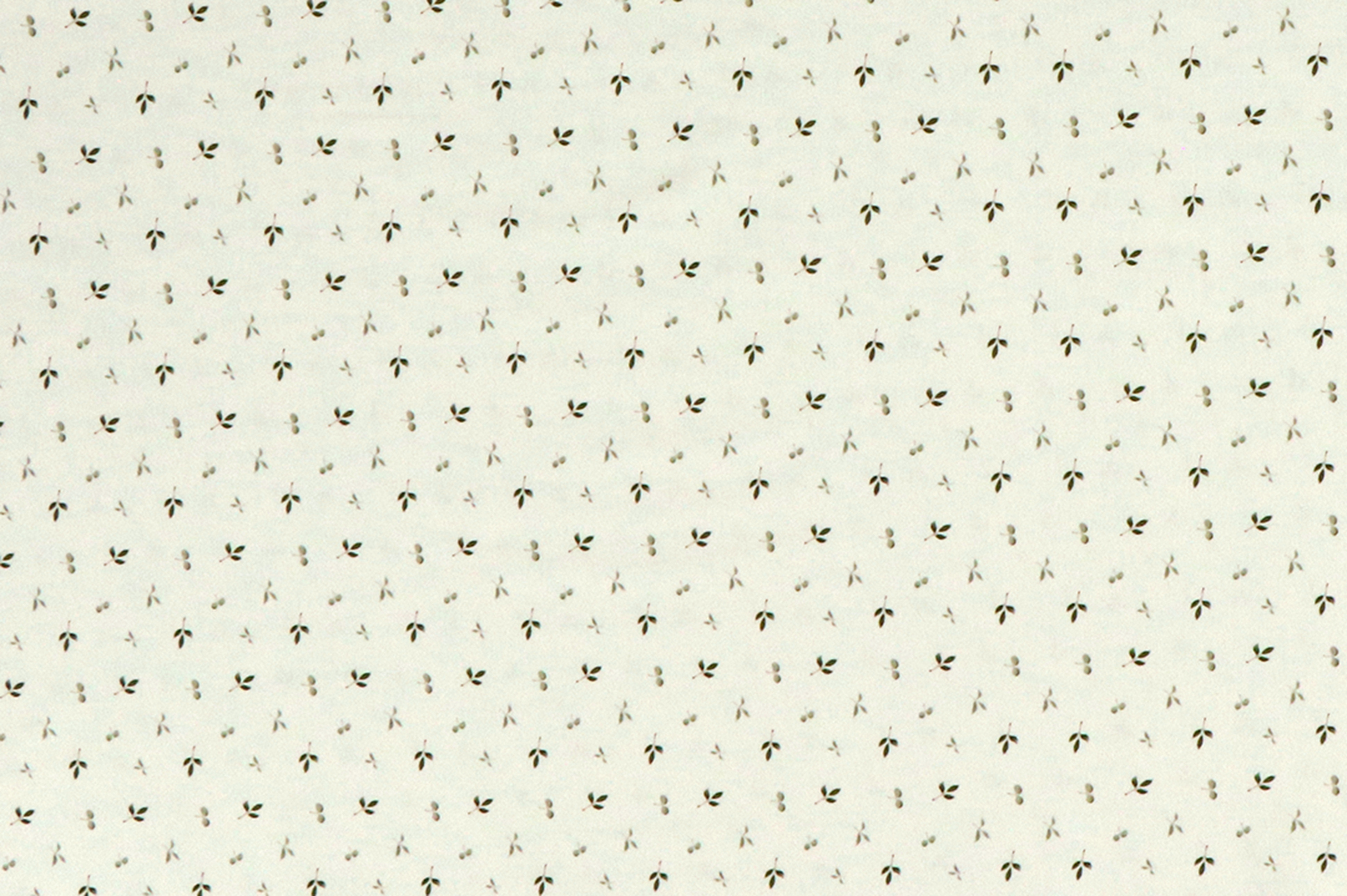 Jersey di cotone, piccole foglie verdi su fondo bianco