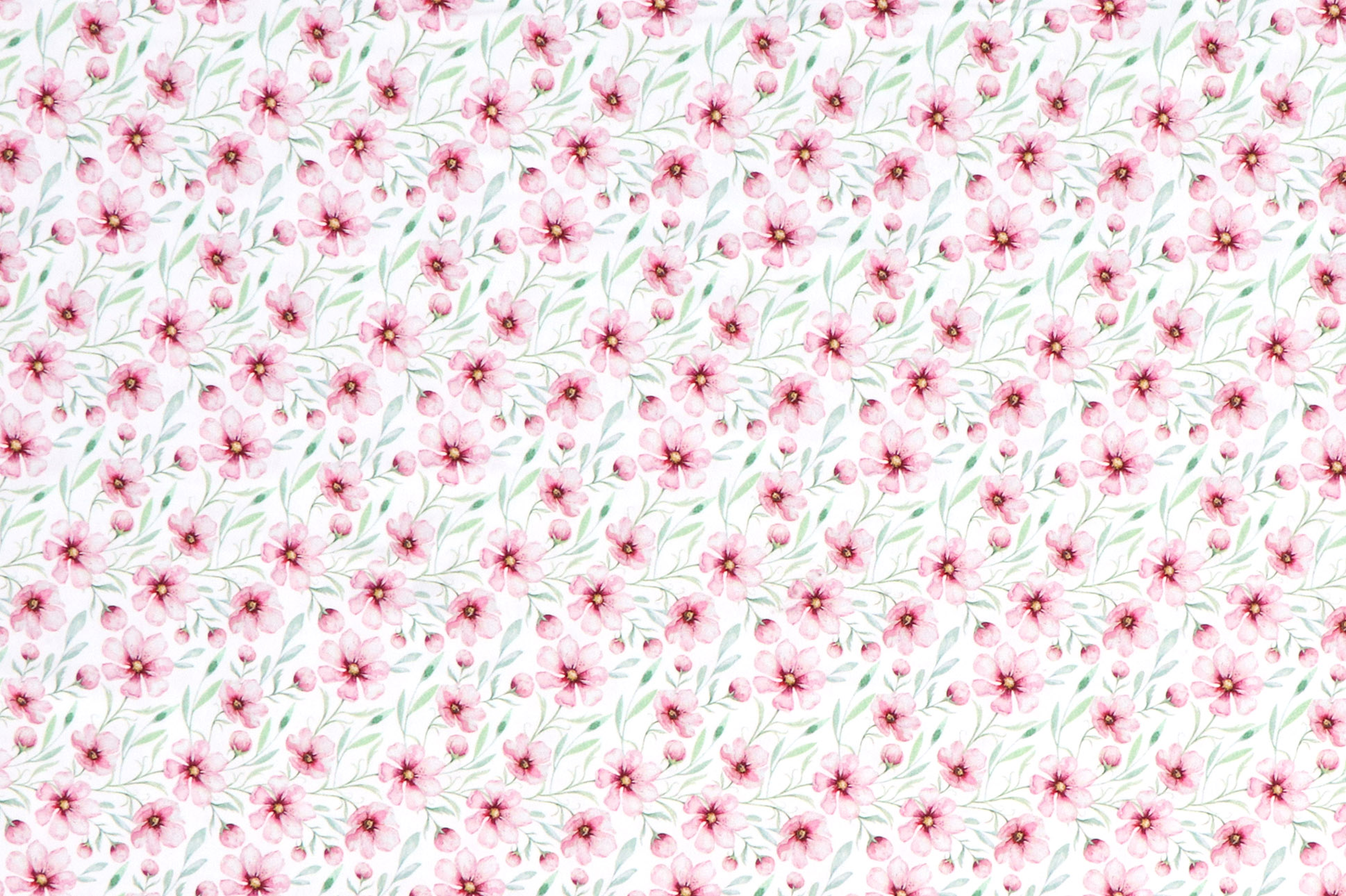 Jersey di cotone, fiori di ciliegio su fondo bianco