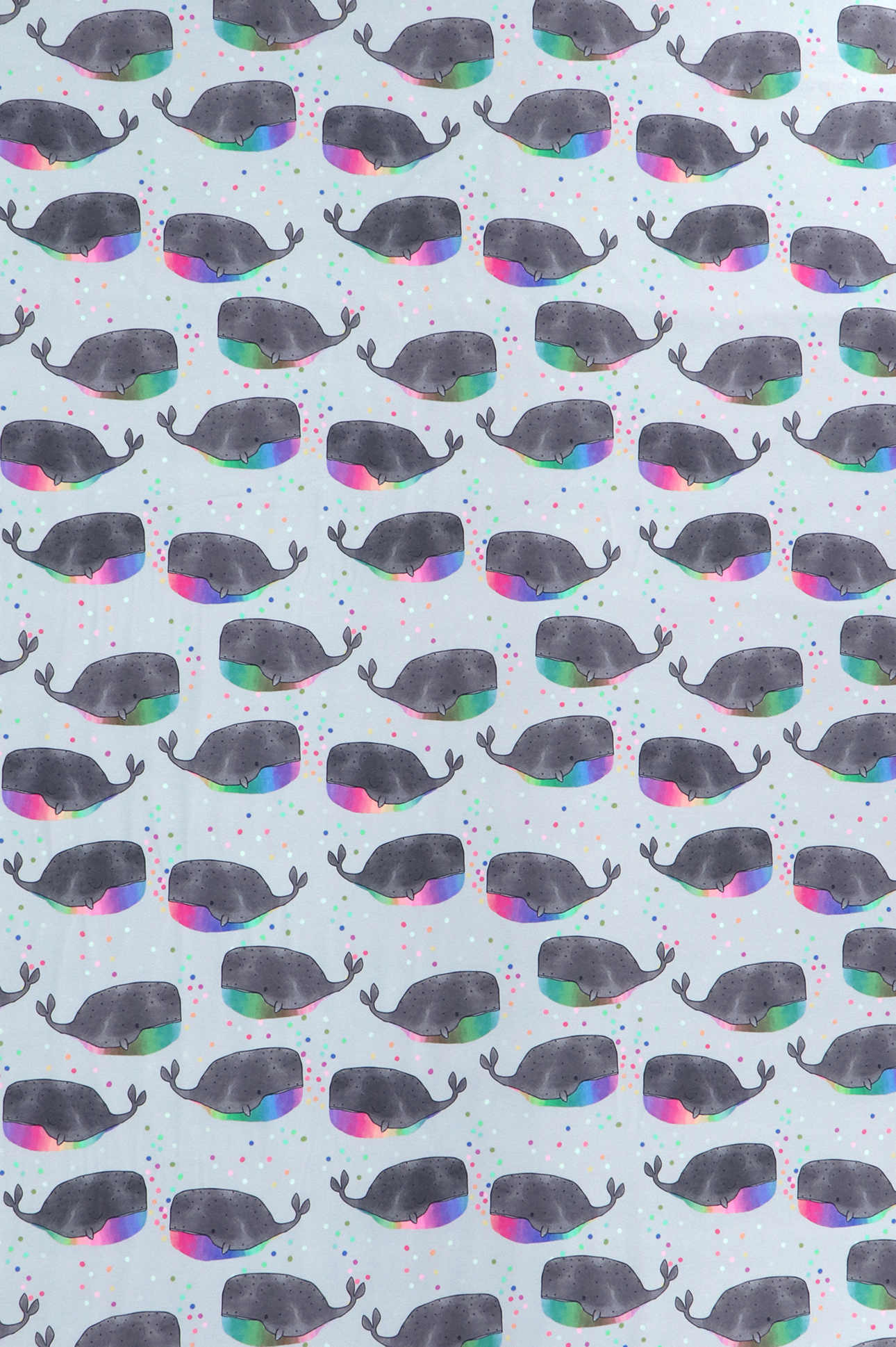 Bio - Jersey di cotone, balena arcobaleno