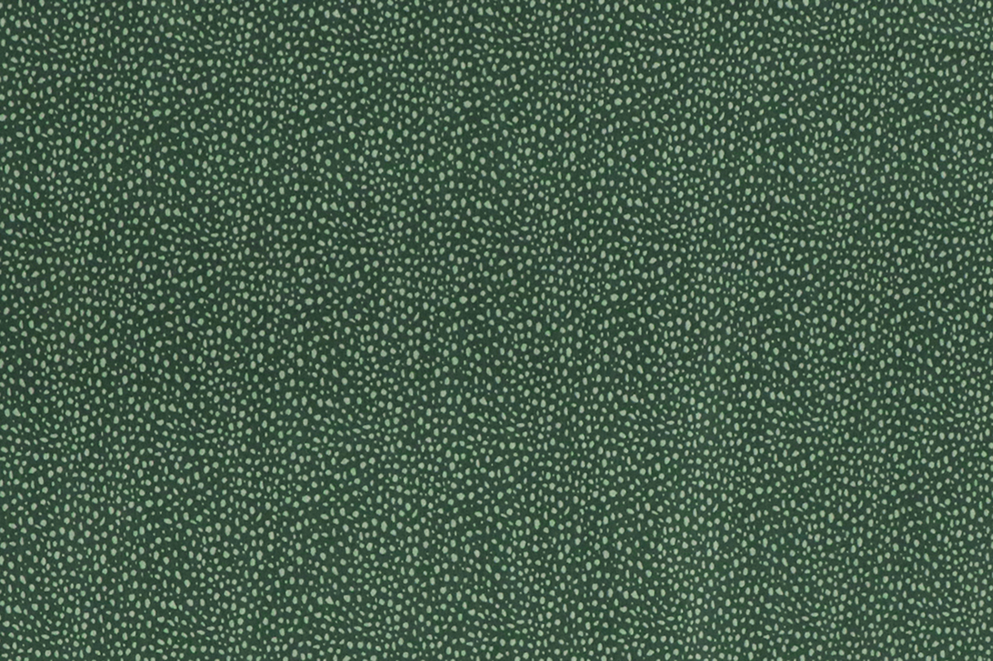 Jersey di cotone, macchie chiare su verde