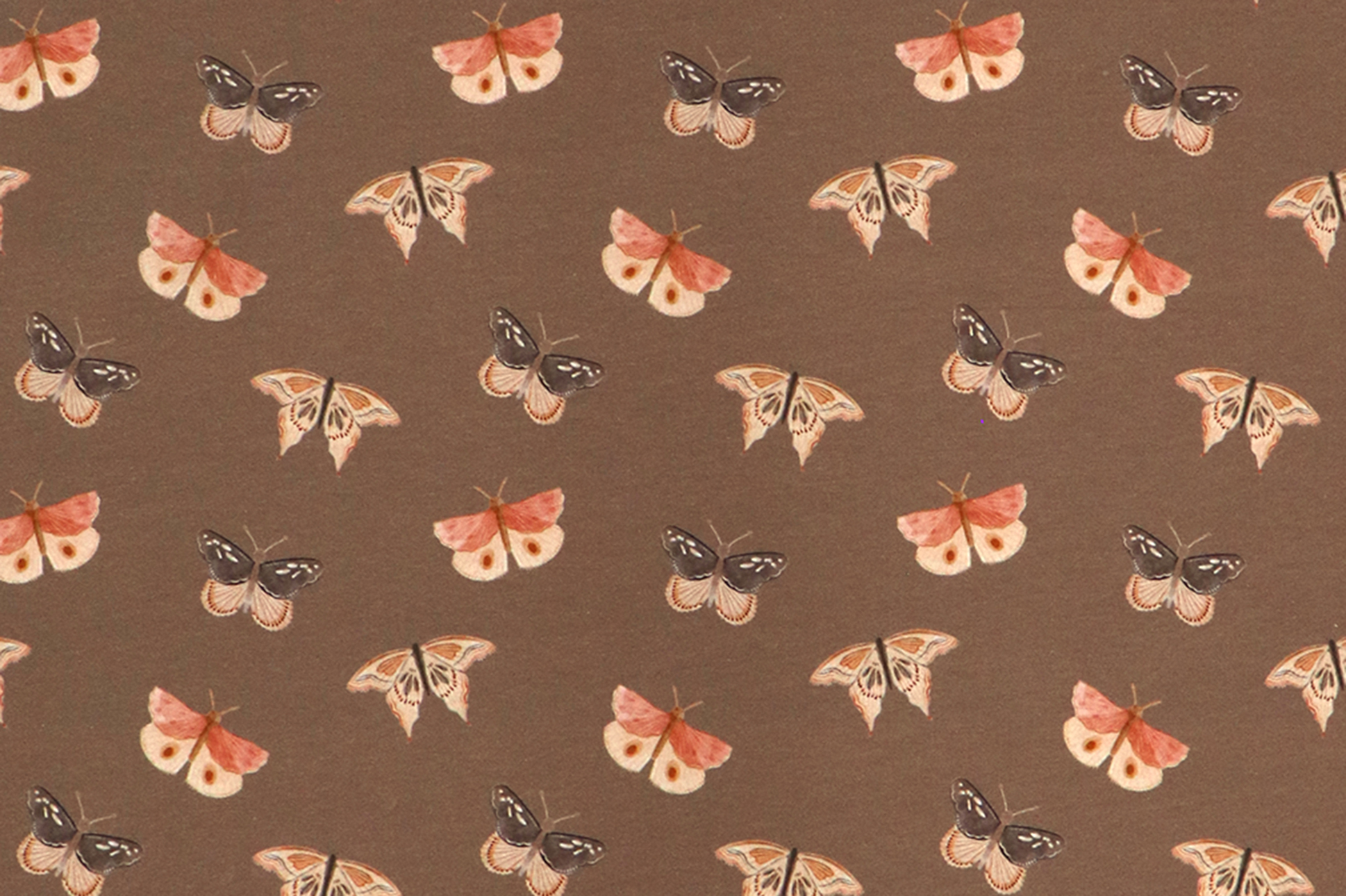 Jersey di cotone, farfalle su taupe