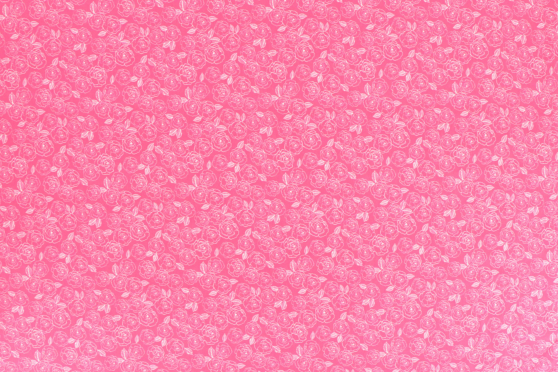 Sweat invernale, rose su rosa