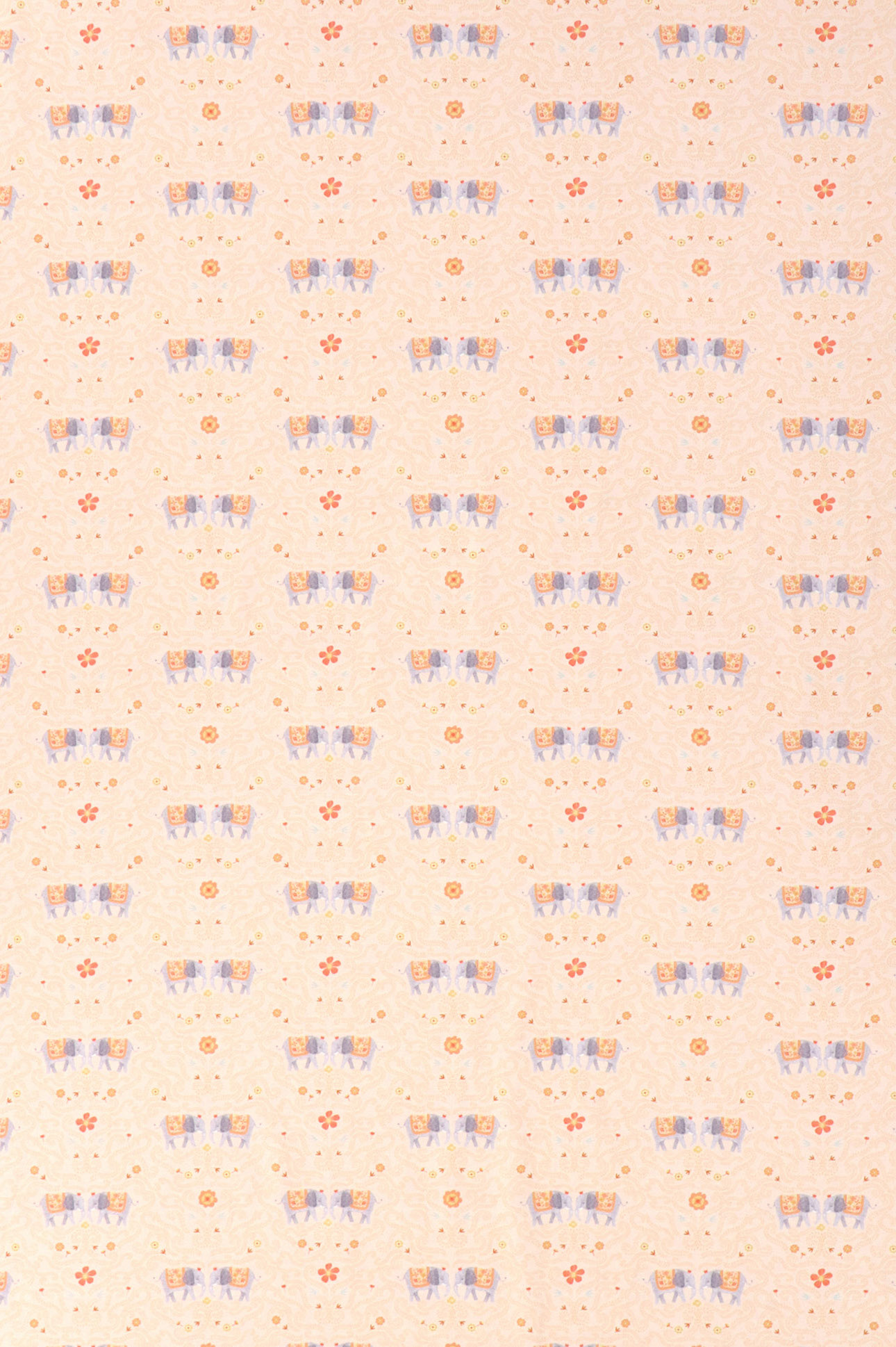 Jersey di cotone, elefanti indiani