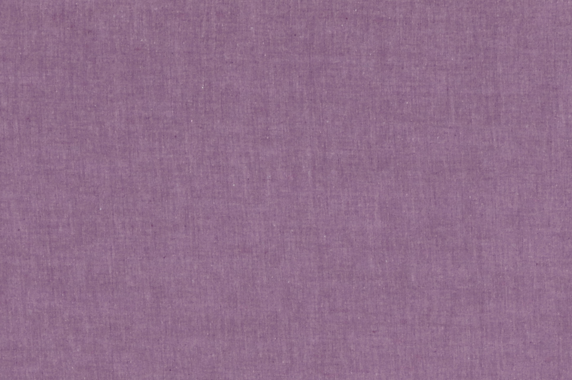 Popeline in cotone, yarn-dyed, prugna