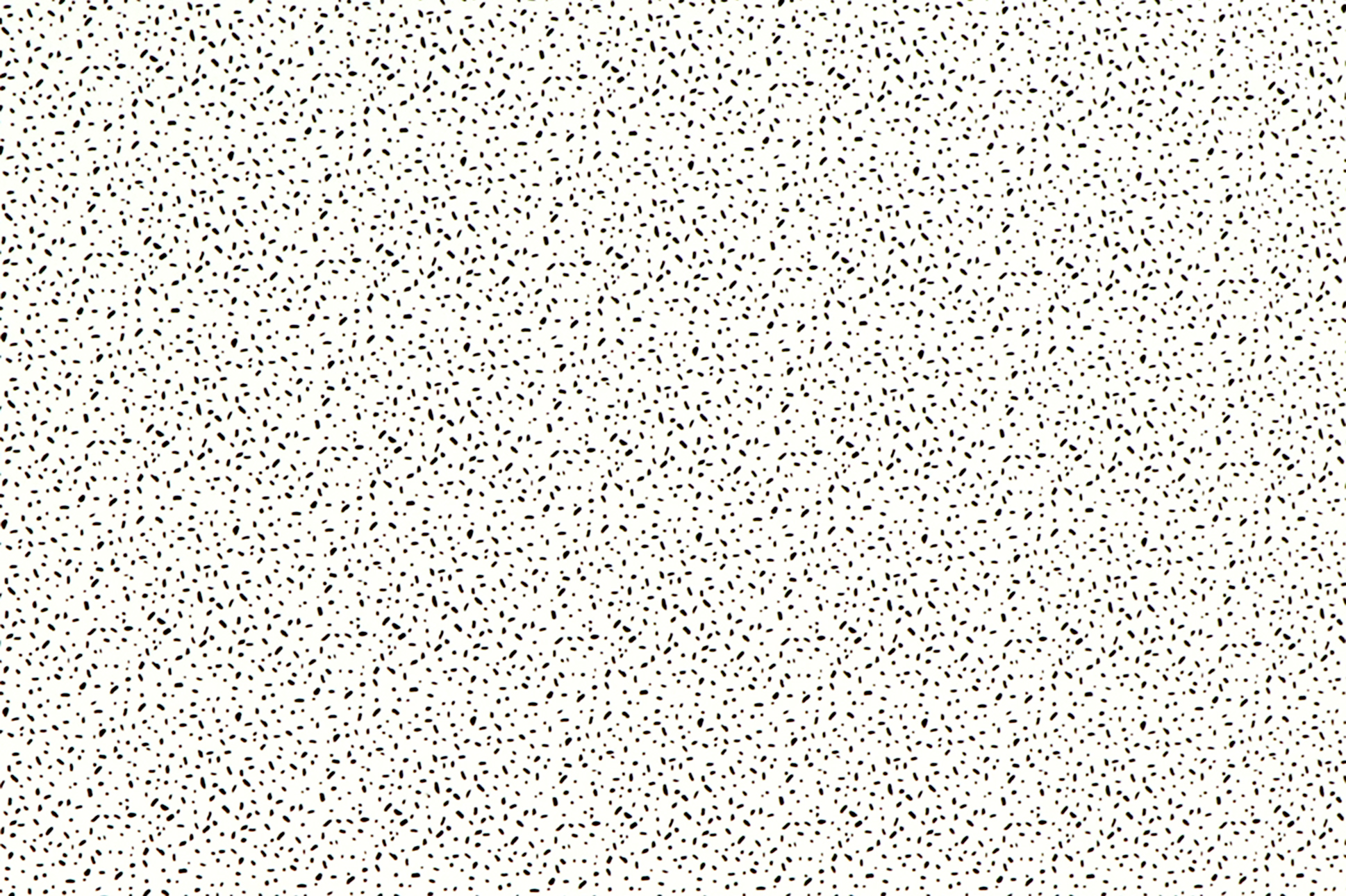 Jersey di cotone, piccole strisce e punti neri su fondo bianco