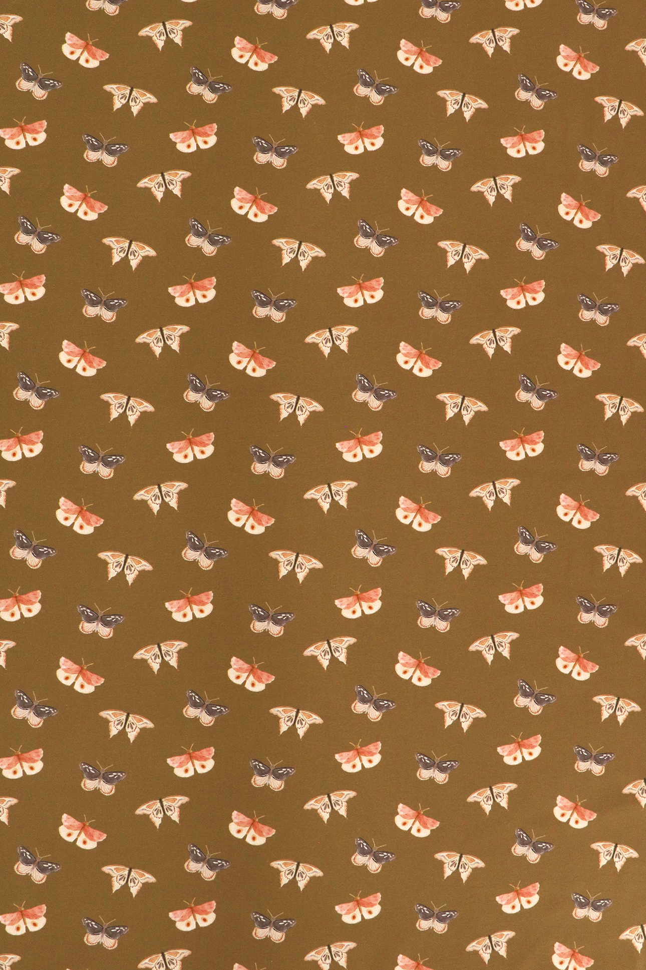 Jersey di cotone, farfalle su khaki