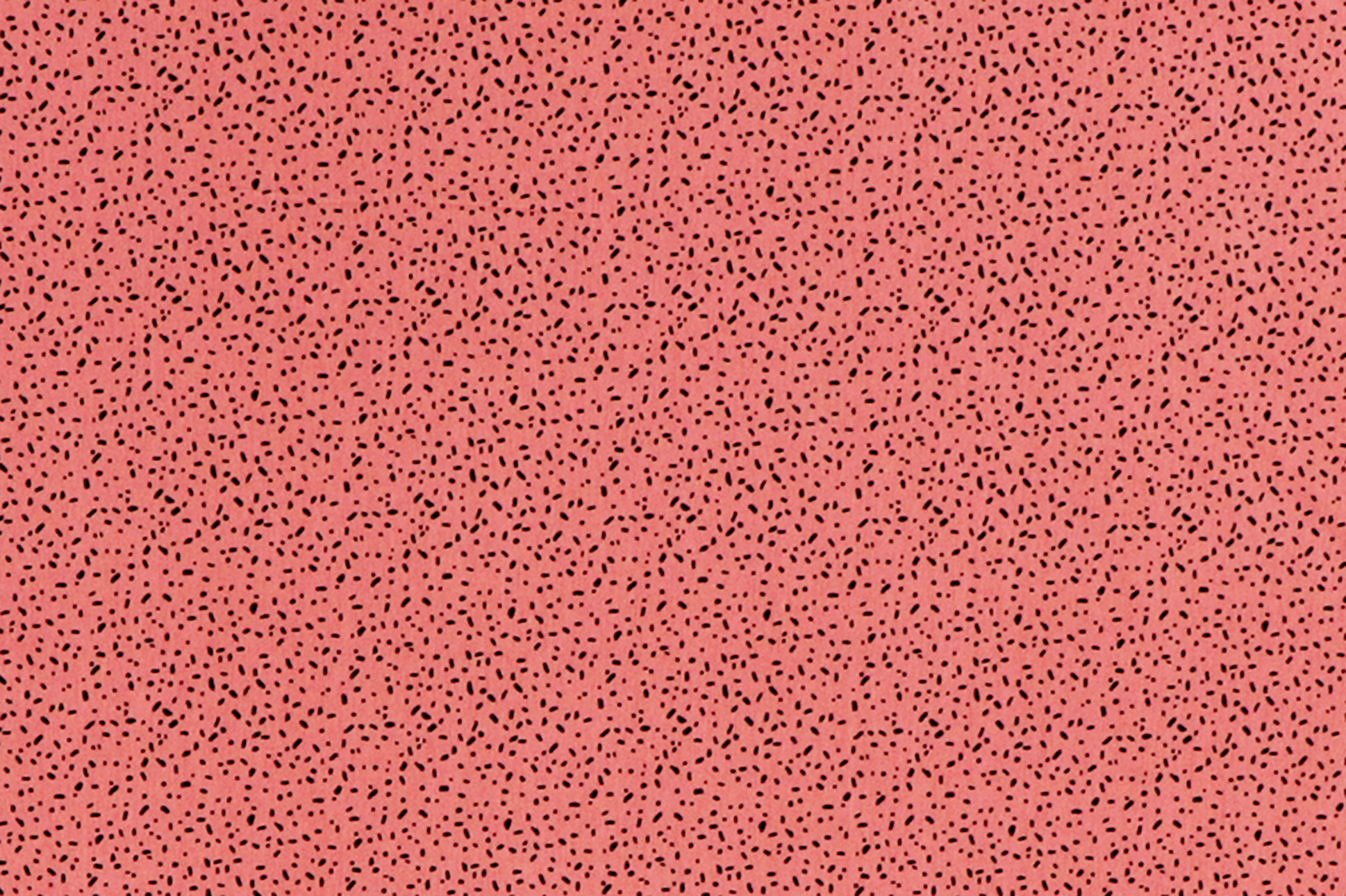Jersey di cotone, piccole strisce e punti neri su fondo rosa salmone