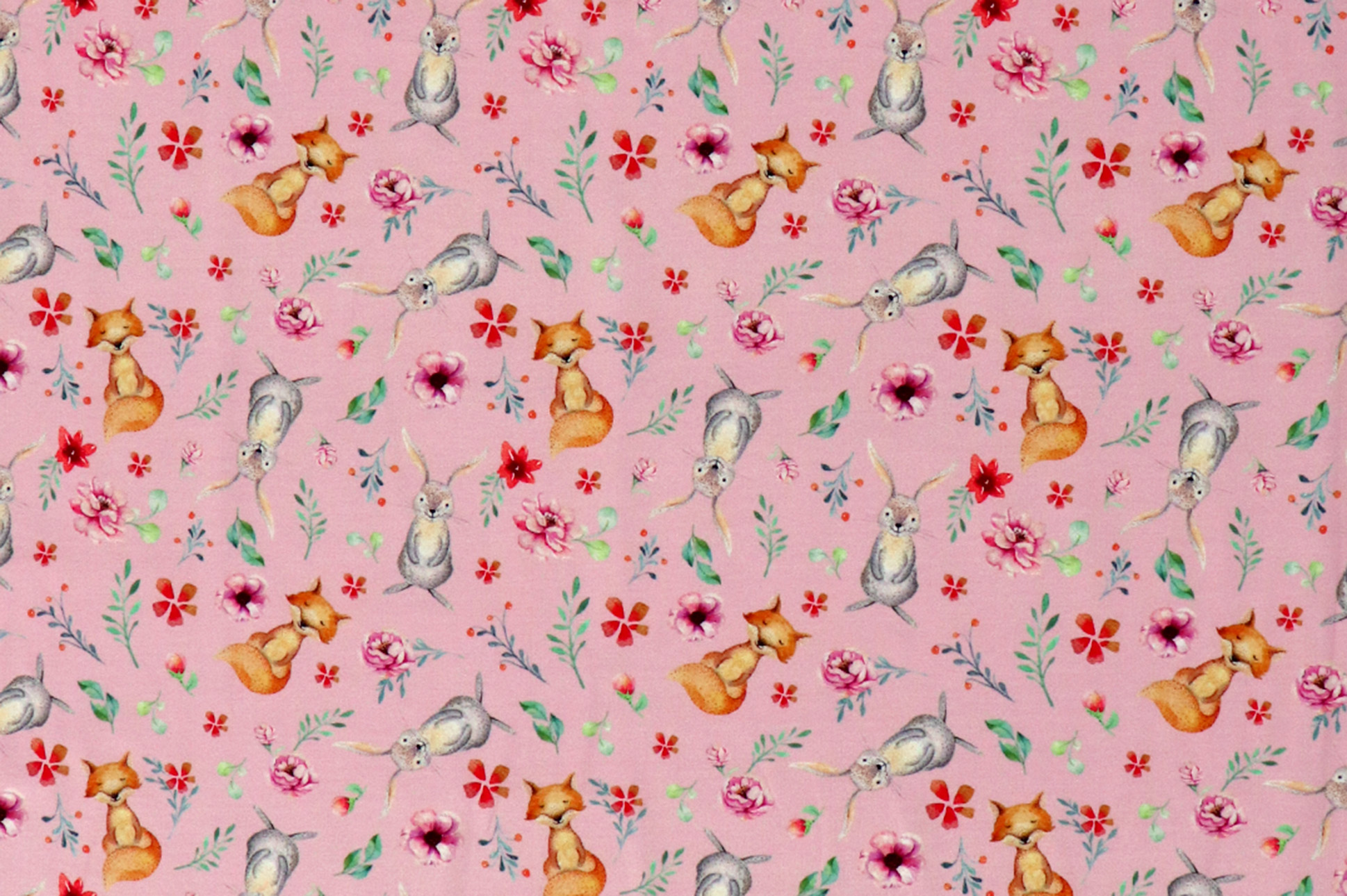 French Terry, volpi e conigli su fondo rosa