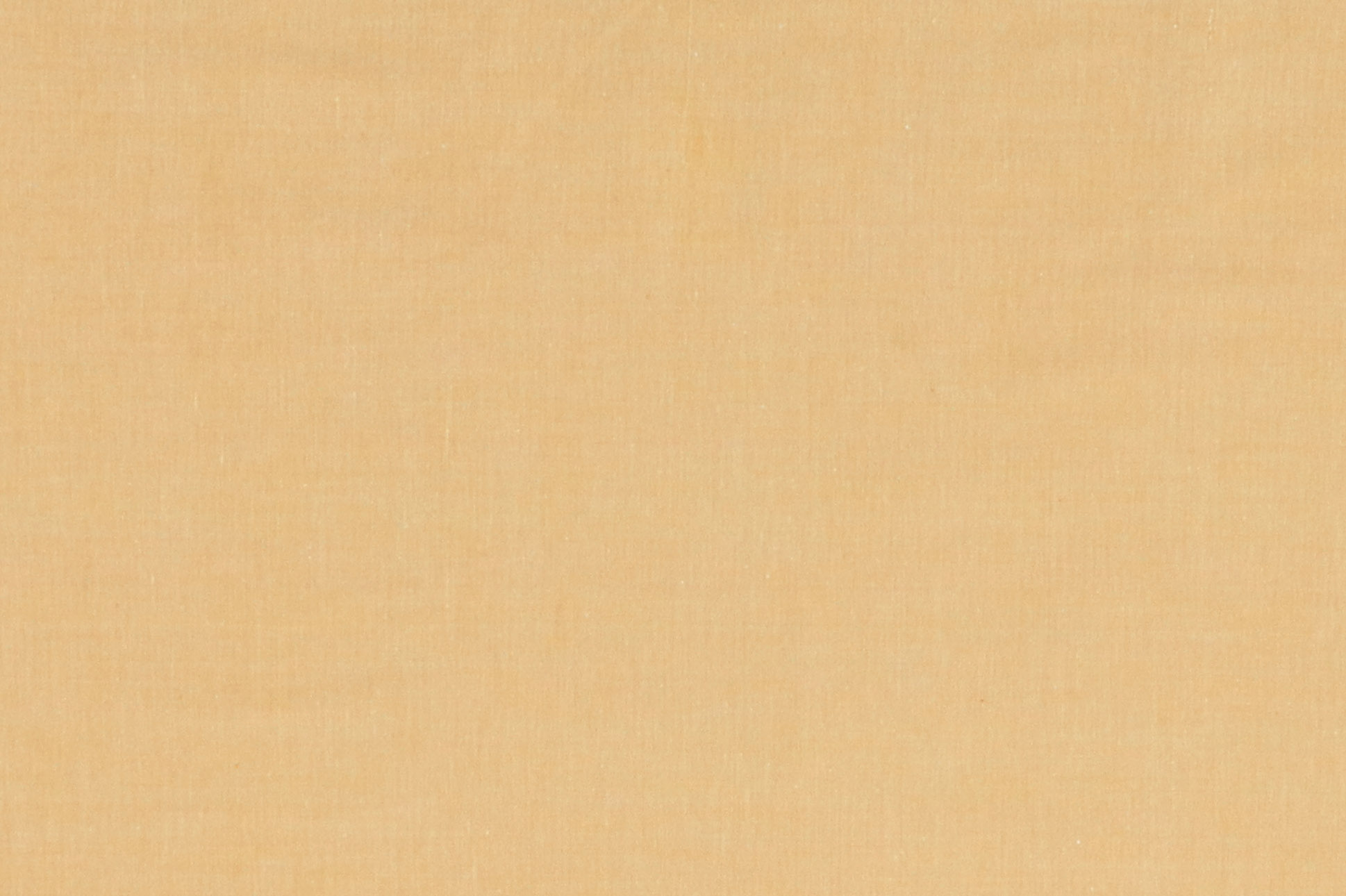 Popeline di cotone, yarn-dyed, senape