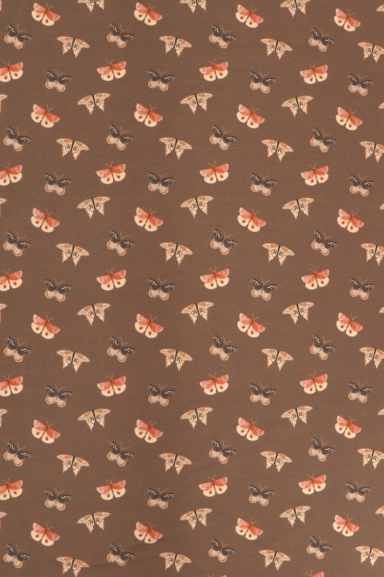 Jersey di cotone, farfalle su taupe