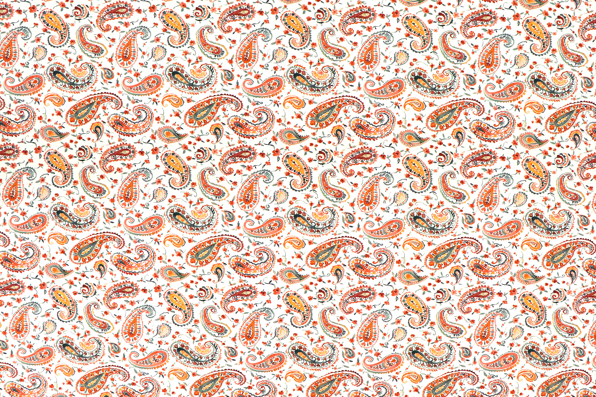 Jersey di cotone, paisley bianco Jersey di cotone, paisley bianco